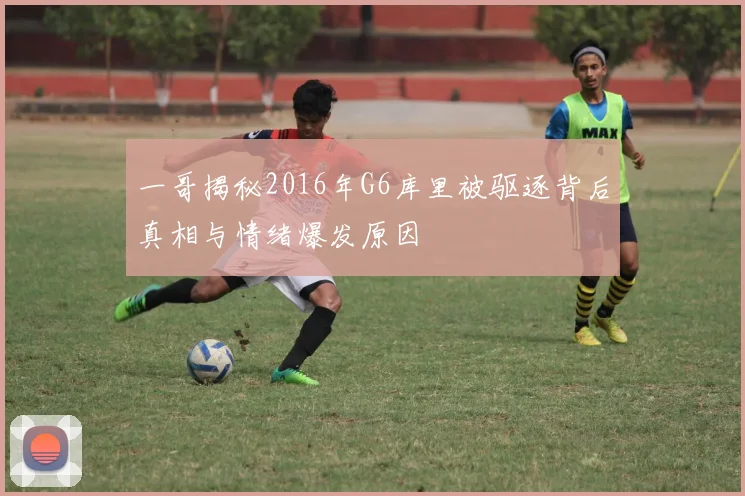 一哥揭秘2016年G6库里被驱逐背后真相与情绪爆发原因